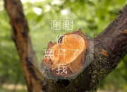 爱游戏中国-皇家社会对阵荷兰，苏亚雷斯的表现，一堂现代足球的教科书