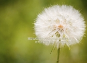 爱游戏官网-当大场面先生穆勒的目光投向基辅，美国对阵乌克兰，一场没有硝烟的代理人战争