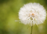 爱游戏官网-当大场面先生穆勒的目光投向基辅，美国对阵乌克兰，一场没有硝烟的代理人战争