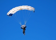 爱游戏世界杯2026-莫兰特狂飙引领风暴，活塞三节打崩黄蜂显统治力