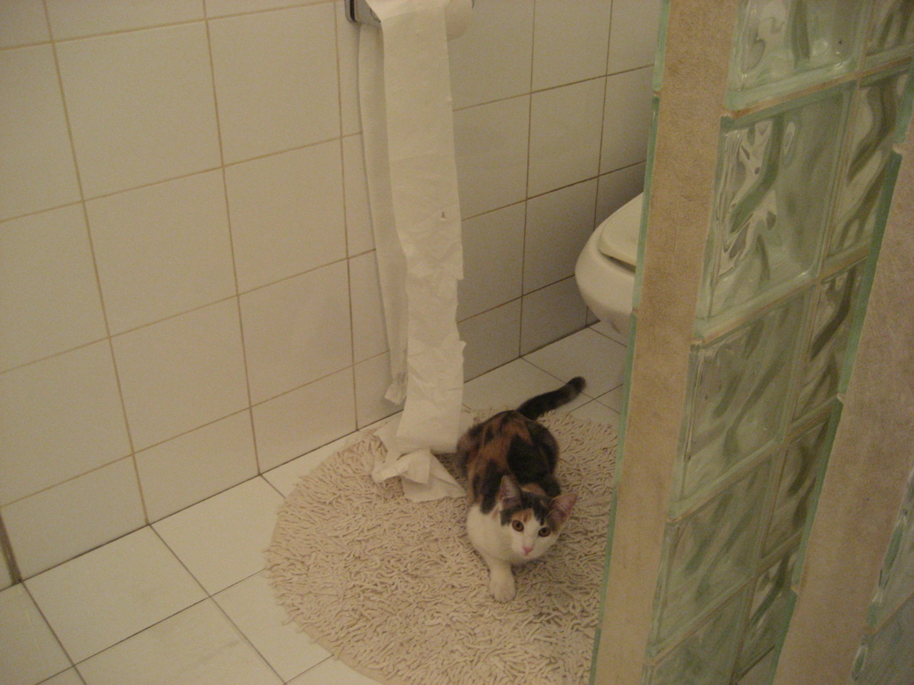 勇士淘汰赛过关活塞，拉文惊艳四座，一场属于勇者与舞者的对决