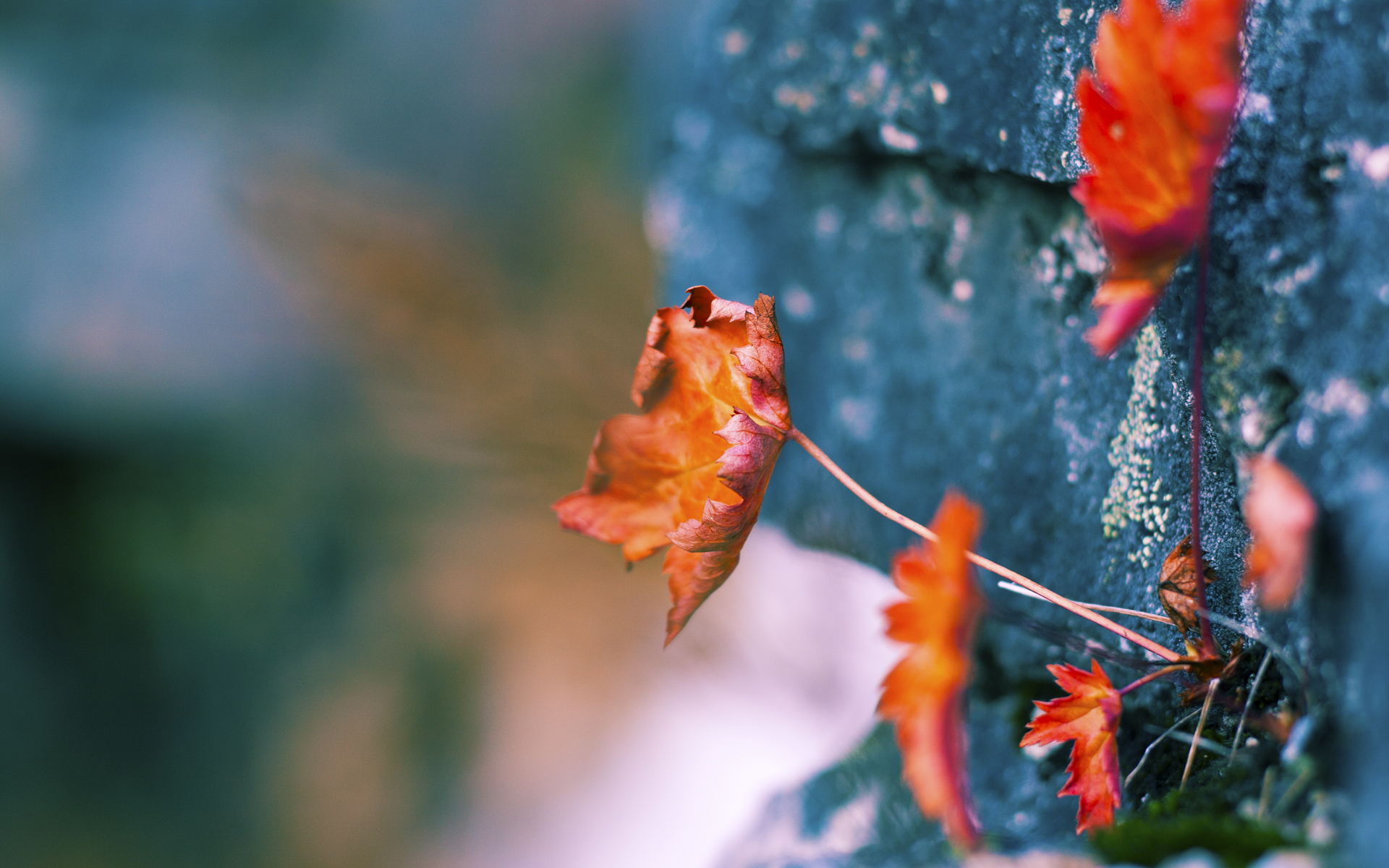 塞维利亚之夜,当奥纳纳的错误成为撕裂防线的完美风暴